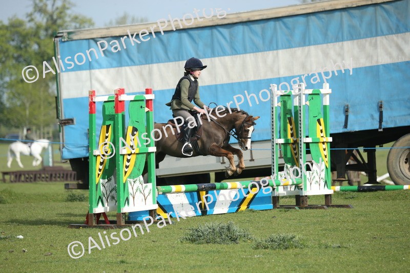 20260426-0037 - Class 13 - Rookie Jumping 50cm