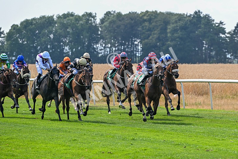 160726-Race 4-Park Lane Penny-4653 - Race 4 15.38pm Don't Miss Summer Family Days @thirskraces Classified Stakes
