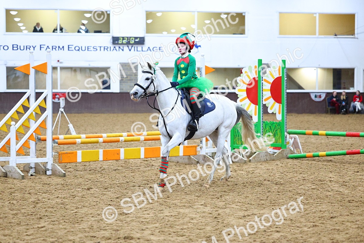 SBM_001376 - Class 3 - Christmas Tree Stakes - 60cm