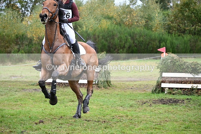 WJ6_3790 - 90cm Cam 1 Time 13:35 to 14:03