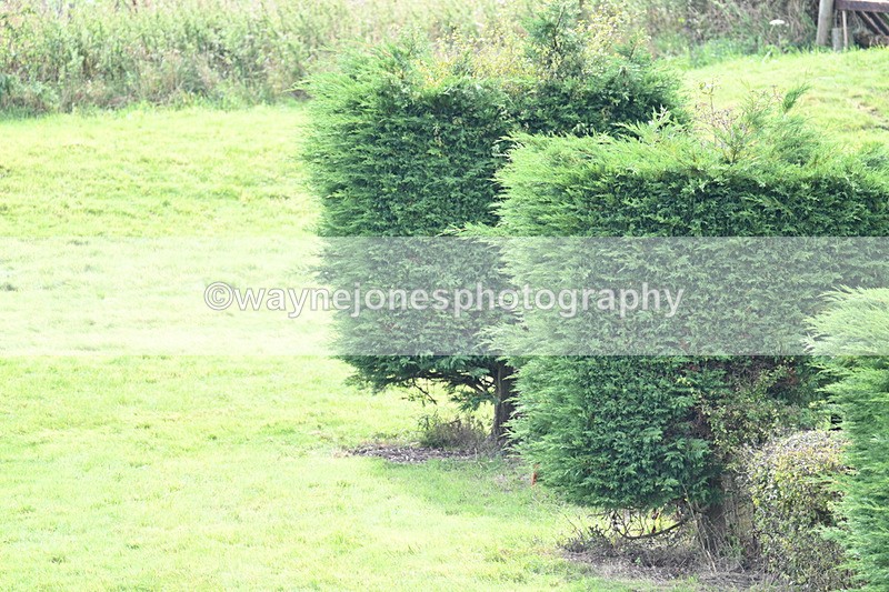 WJ7_7633 - Time 13:30 to 13:48