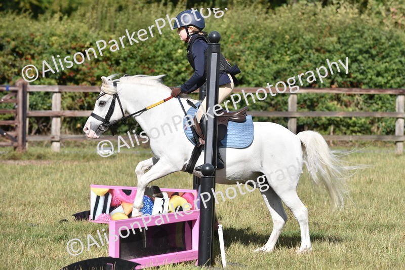 20250831-0419 - Class 7 - Absolute Novice 35cm