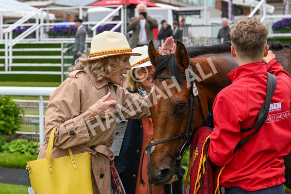 150624-Race 6-Pisanello-8092 - Race 6 4.45pm Ice Co Supporting Macmillan Handicap