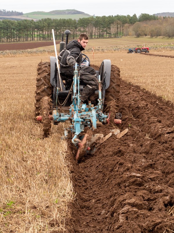PB260032 - Lauderdale Ploughing Society - Ploughing match 26-11-22