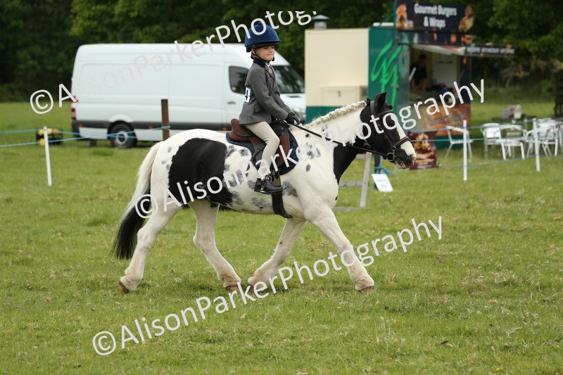 20250517-0498 - Class 20 - Beginners Working Hunter