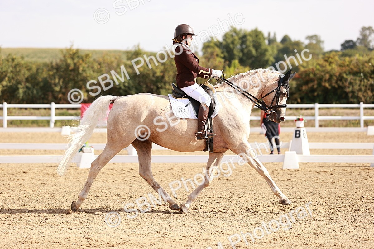 SBM_017008 - Class 10 - Medium 6