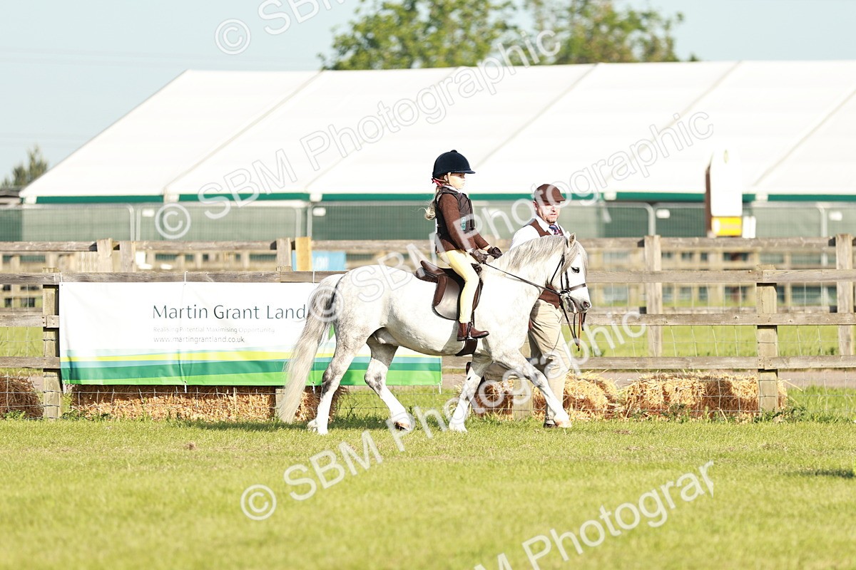 SBM_11037 - Class 106-107 - BSPS LIHS Working Sports Pony