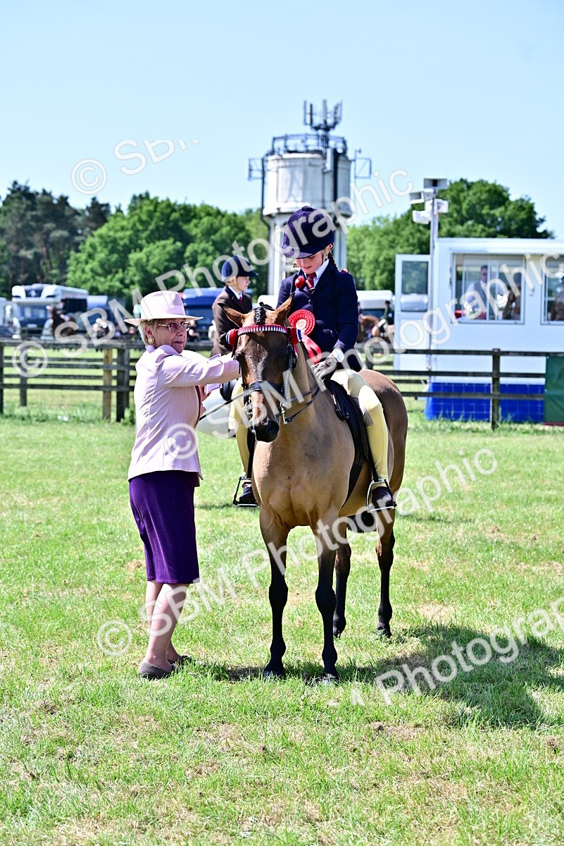 SBM_14028 - Class 95-97 - BSPS LHS Performance Ponies