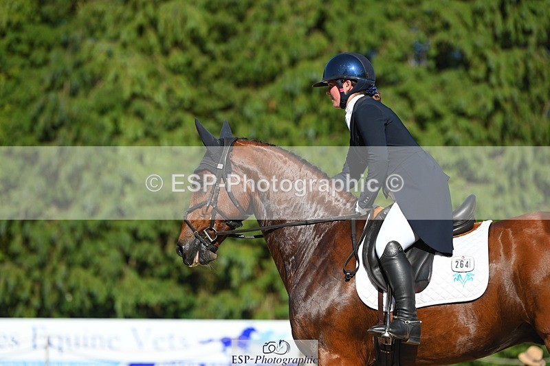 230526-173507-07654 - 264-BALLADEER_JUST_FOR_KICKS-Ellie_Healy-WEDTrotUp+DR