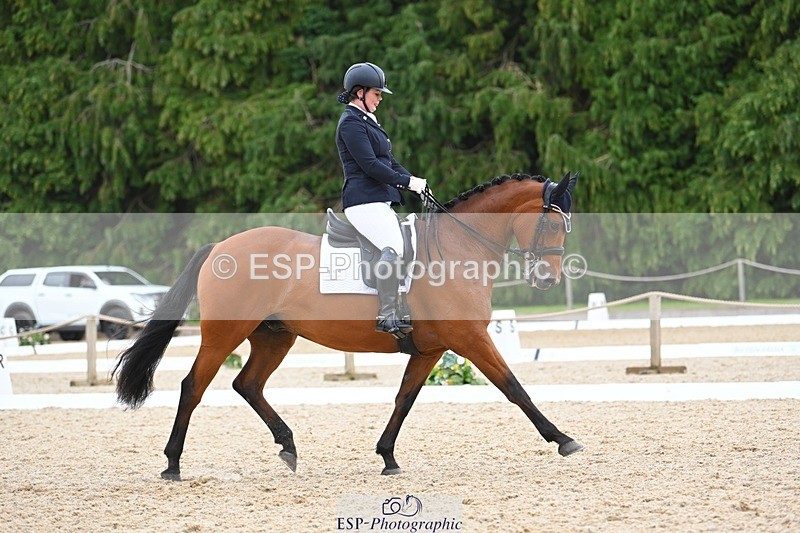 230813-132046-07541 - Cls 13 Medium Bronze 13.15 to End