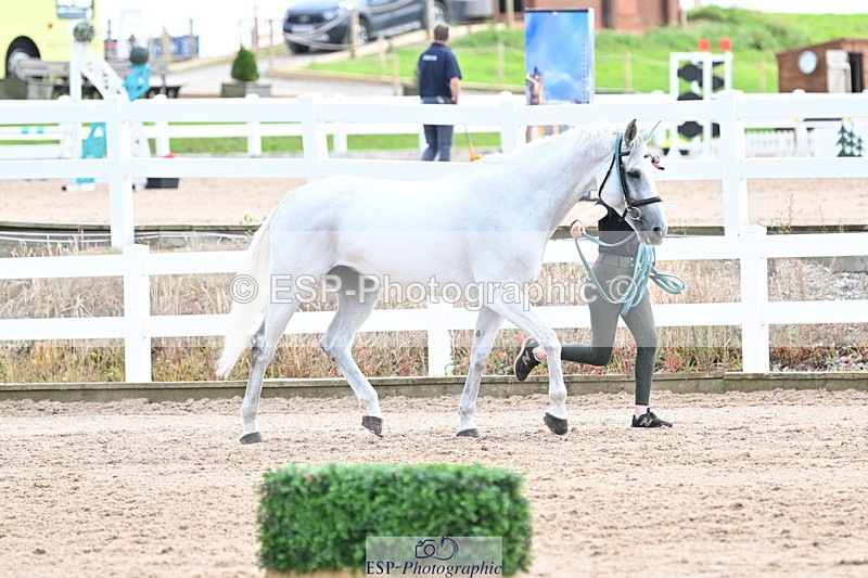 240717A-143941-02174 - Trot Up 2pm to 3pm - This folder is not in time order