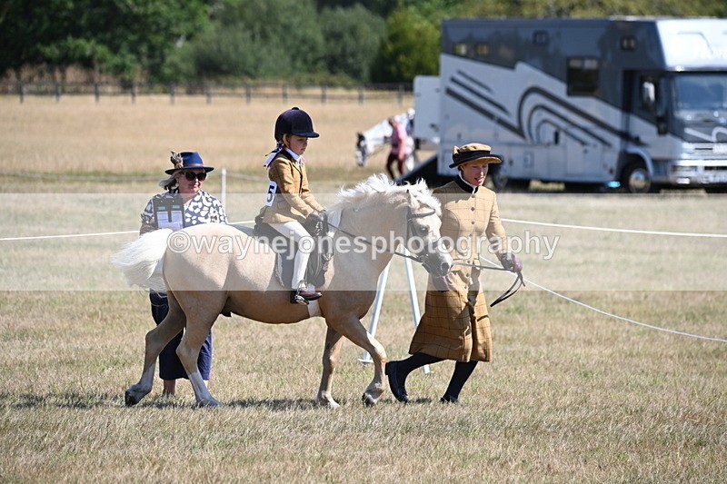WJ6_7734 - Class 36 Lead Rein