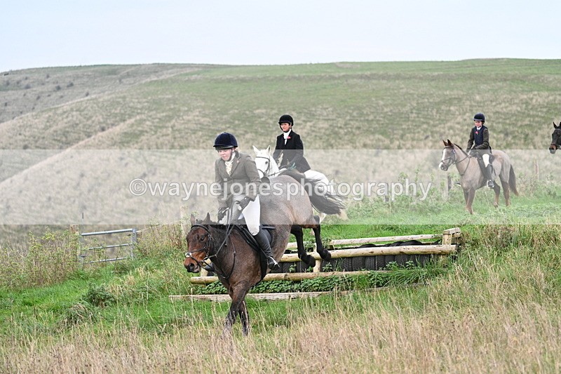 WJ7_0046 - Camera 1 & Last fence