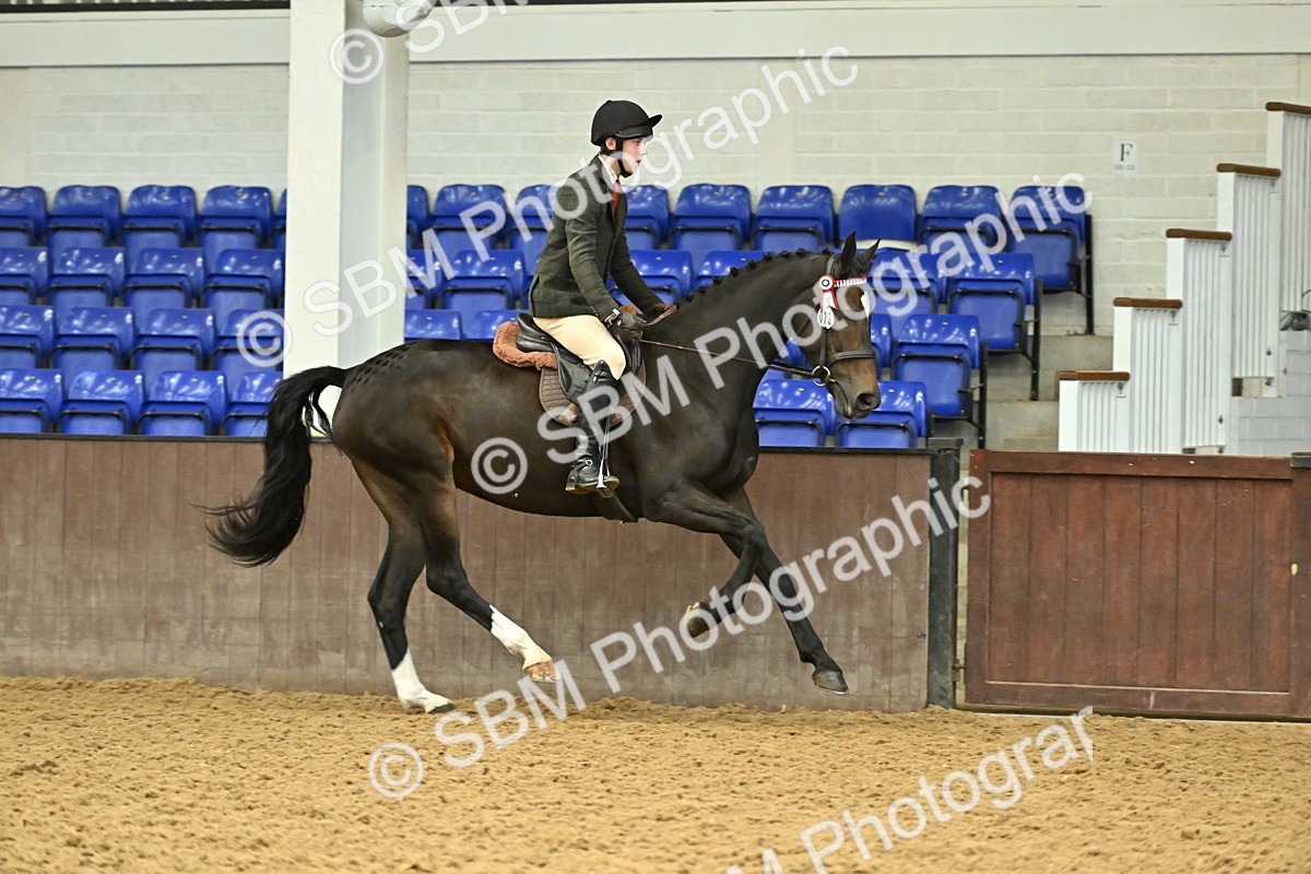 SBM_002074 - Class 23 - BSHA Ridden Show Hunter