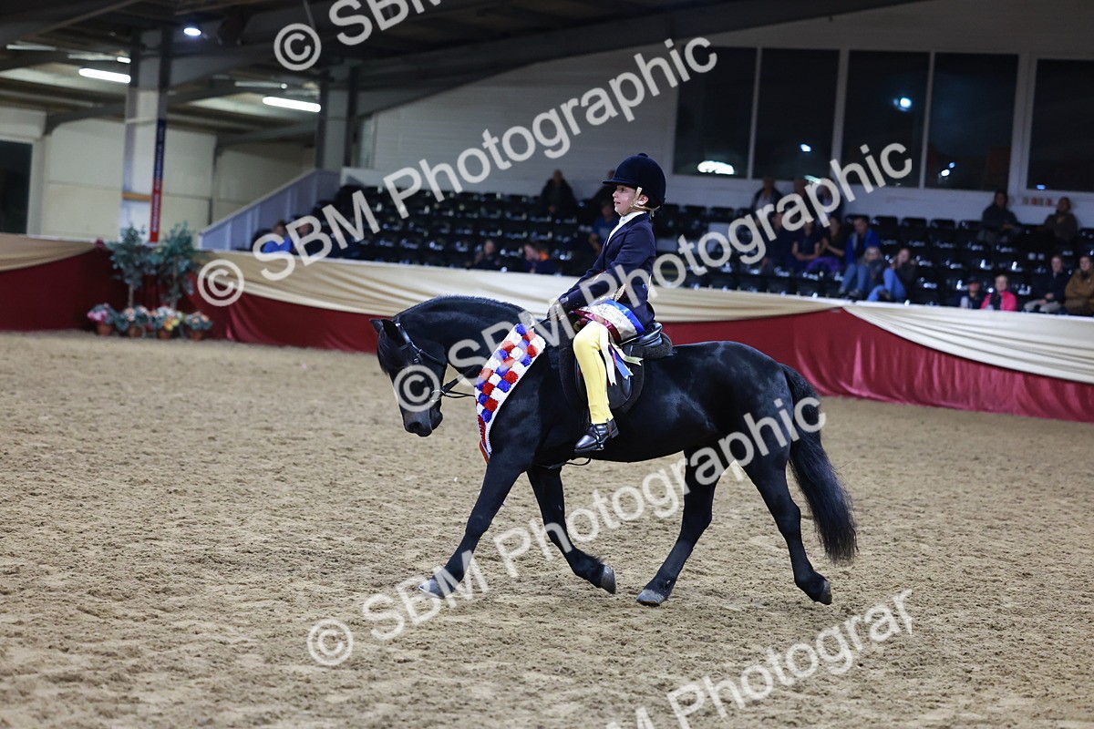 SBM_21399 - Class T - Working Veteran Champs