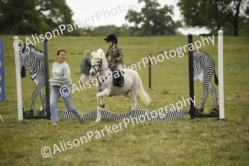 20250517-0937 - Class 2 - 30cm Off Lead Rein