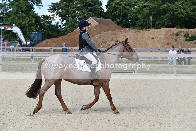 WJ5_7527 - Time 16:25 to 16:37