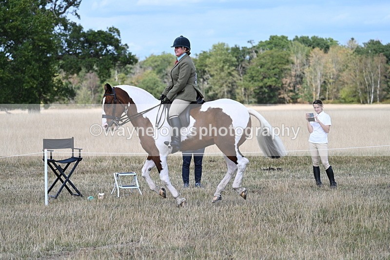 WJ7_6969 - Class 14 Ridden Coloured