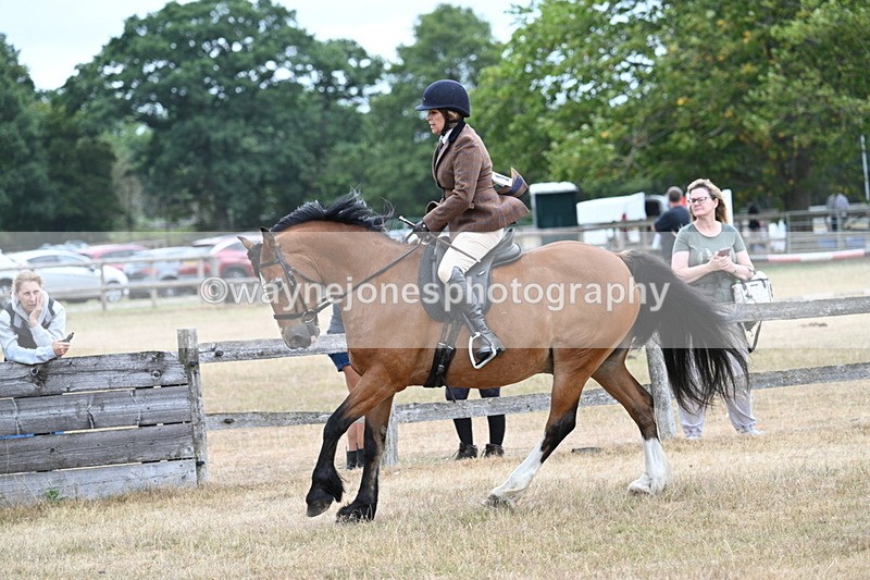 WJ7_0591 - Class 6 Ridden Mountain and Moorland
