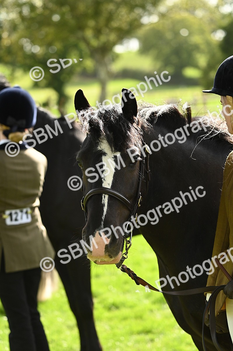 SBM_25025 - S5 - Novice & Newcomer In hand