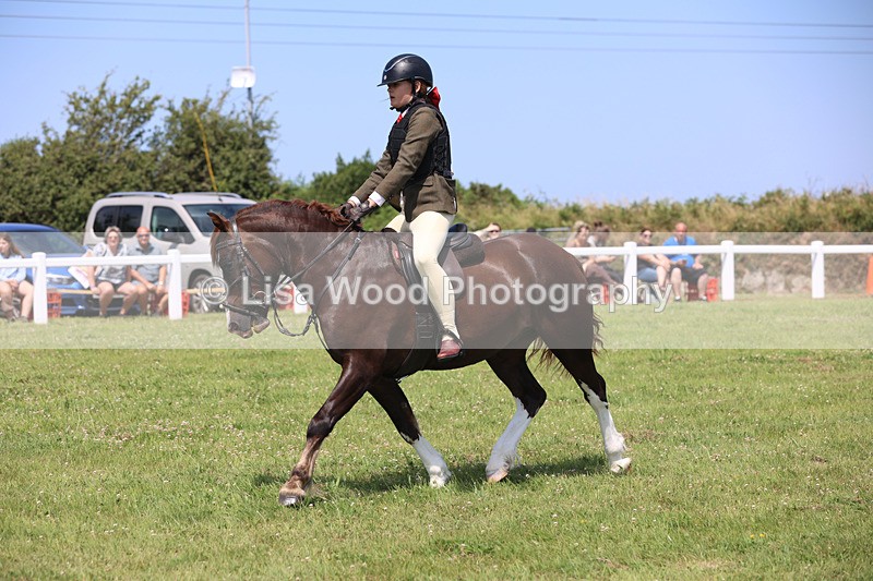 JPP_2409 - Class 21: Working Hunter 60cm