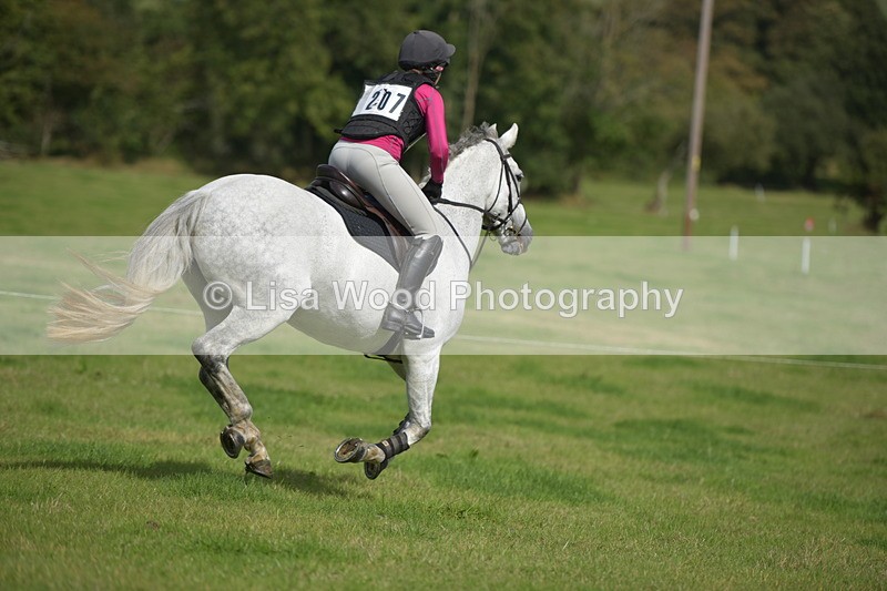 RAY_8779 - Class 2: Trekenning Open: Wall