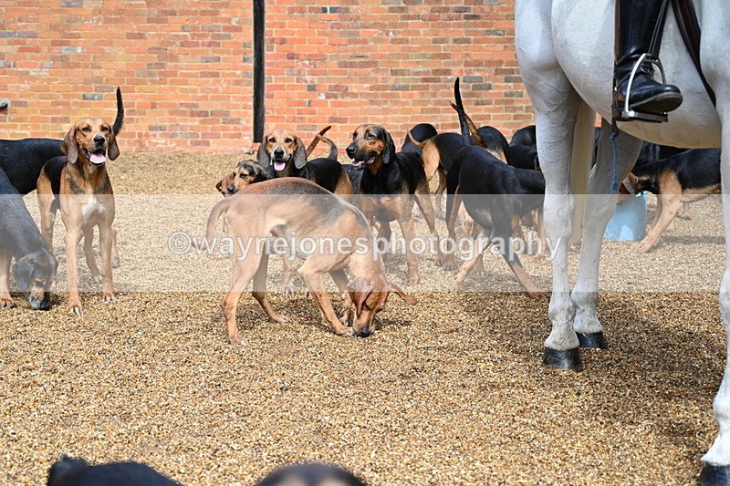 WJ7_7001 - Berks & Bucks at Blandy’s Farm 31-08-25