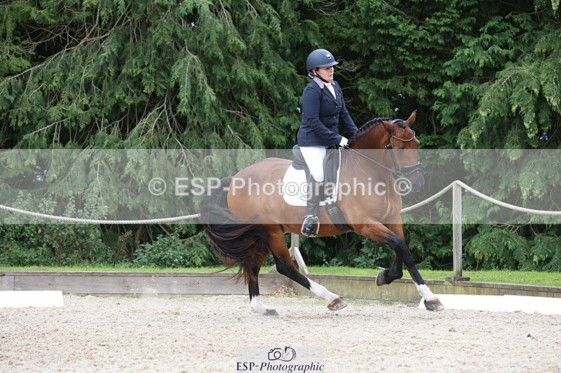 230812-142931-04435 - Cls 5 Novice Bronze 13.40 to 14.45 break