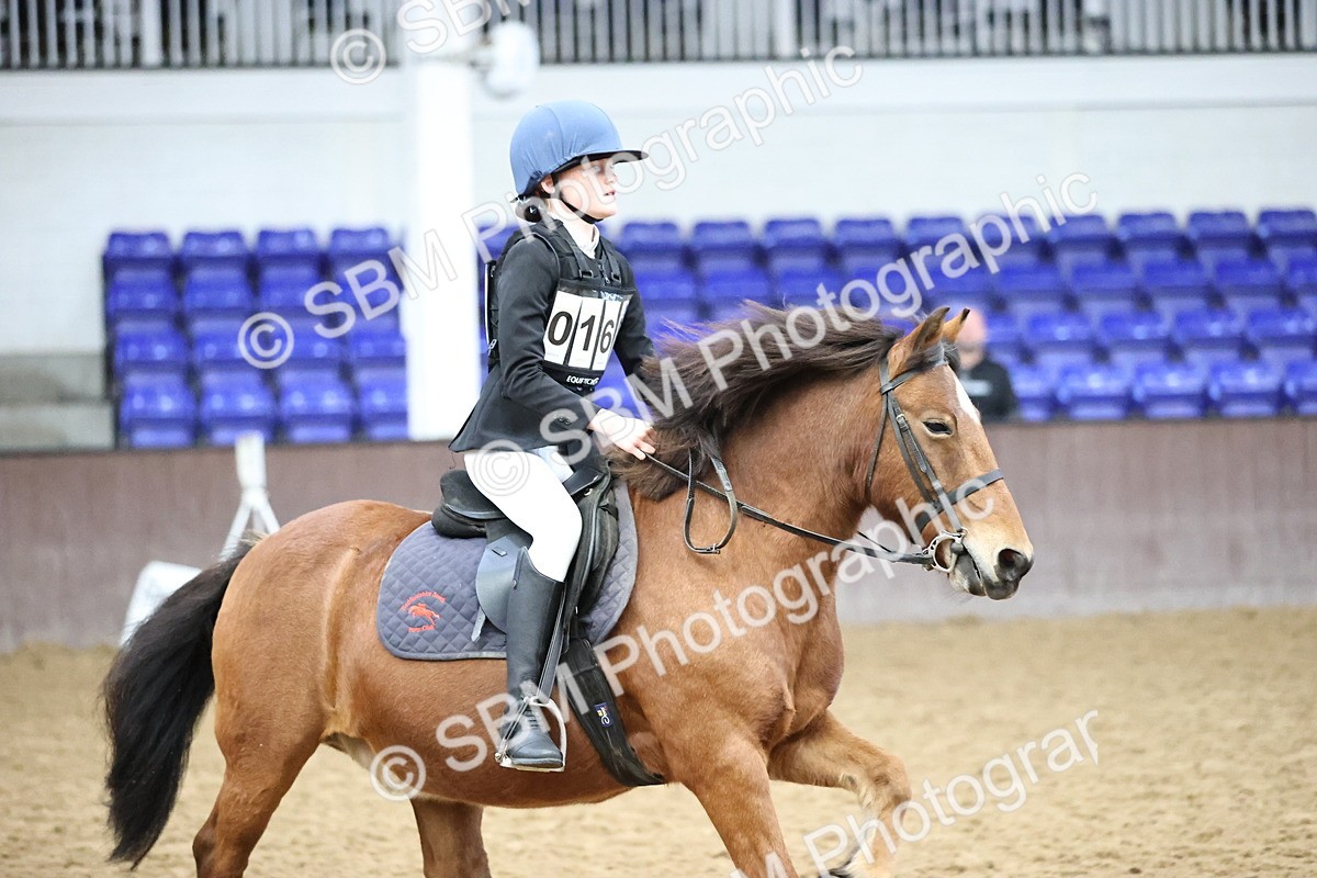SBM_000151 - Class 2 - The Rug Lady 40cm Area 12 Championship Qualifier