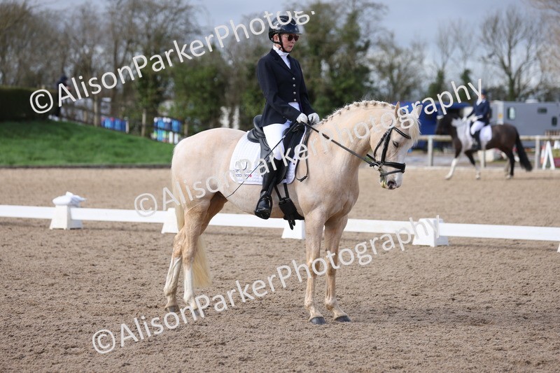 20260301-0659 - Class 4 - Novice 5