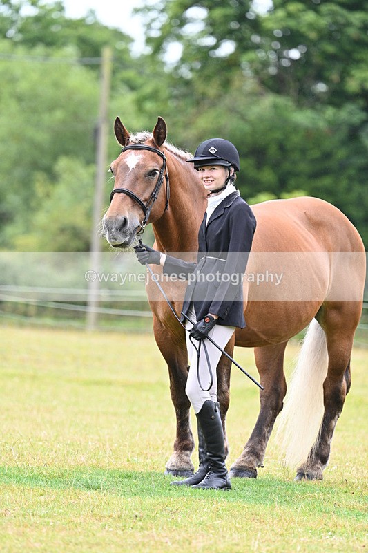 WJ7_6363 - Class 4a Prettiest Mare over 14hh