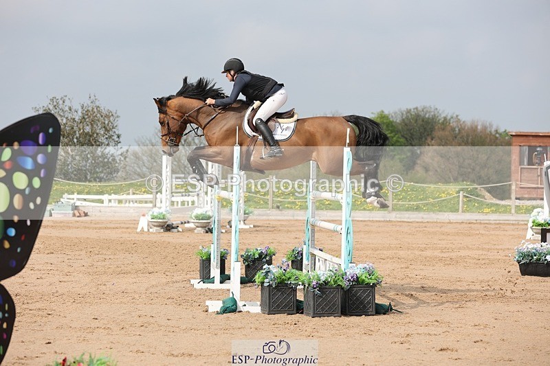 250424-104822-03238 - Cls 33 Young Horse 7yr old