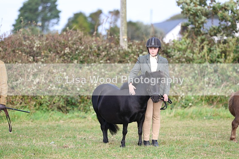 3E7A3265 - Class 12: M & M Small Breeds