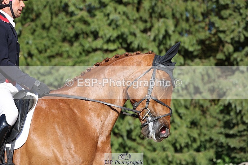 230526-174756-08033 - 181-AMIRO_ISLAND-Harry_Meade-WEDTrotUp+DR
