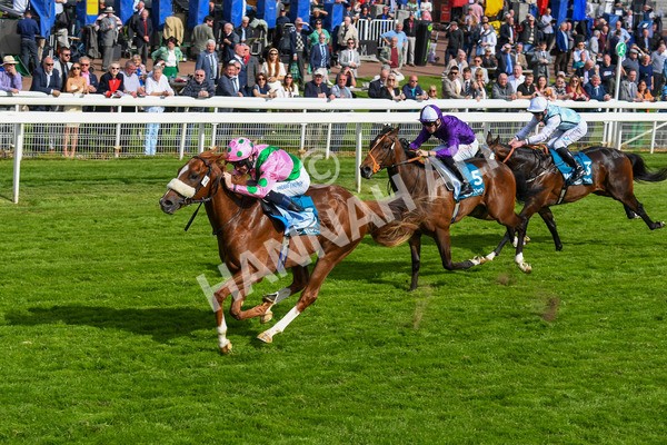 170523-Race 6-Mon Na Slieve-0798 - Race 6 4.45pm British EBF 40th Anniversary Novice Stakes