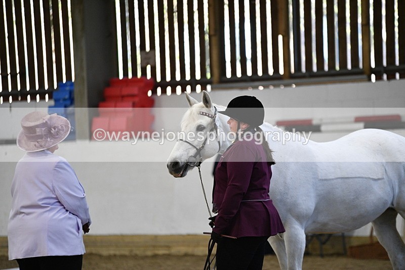 WJ5_3691 - Class 5 In Hand Veterans