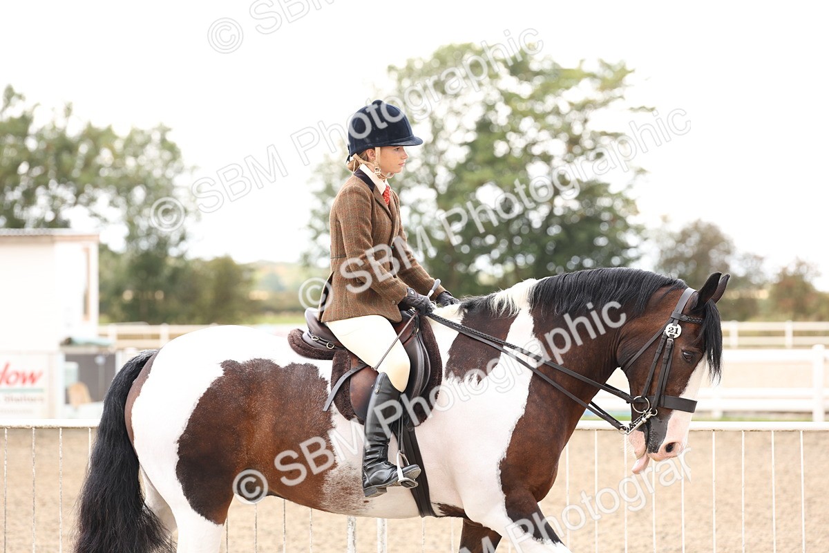 SBM_04168 - Class 54 - Riding Club Horse/Pony