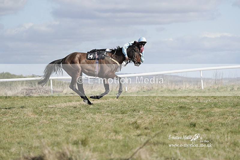 PtP 260223 483 - South & West Wilts Point-to-Point Larkhill 26/02/23