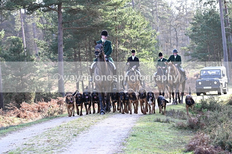 WJ7_7666 - Line 3 (no line 4 or 5)