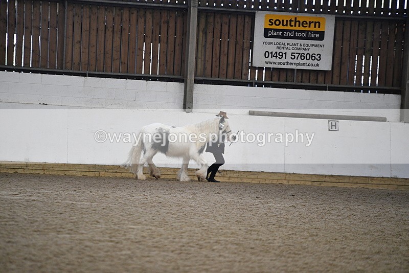 WJ5_5263 - Class 8 In hand cob