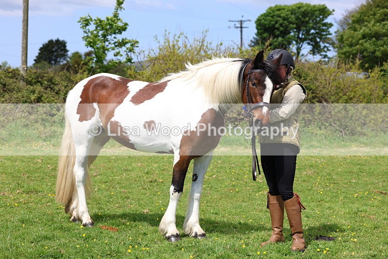 3E7A0418 - Class 19: Best Coloured in Hand