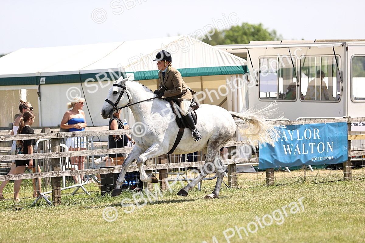 SBM_15114 - Class 79-80 - LIHS BSHA Rising Star Ridden Hunter