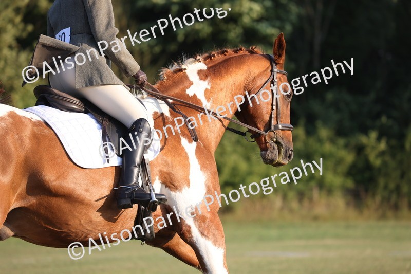 20250731-0387 - Class 3 - Novice 3