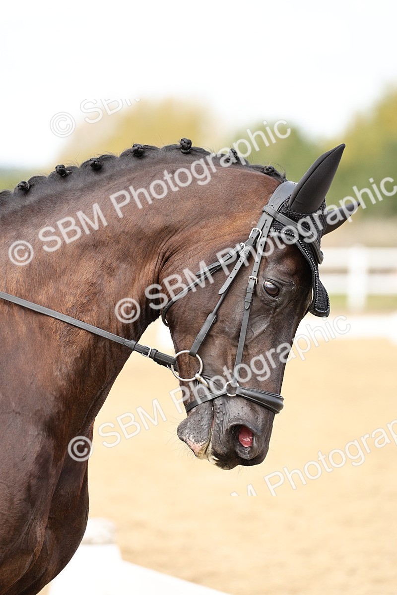 SBM_013069 - Class 3 - Novice 4 - 11.43-12.25