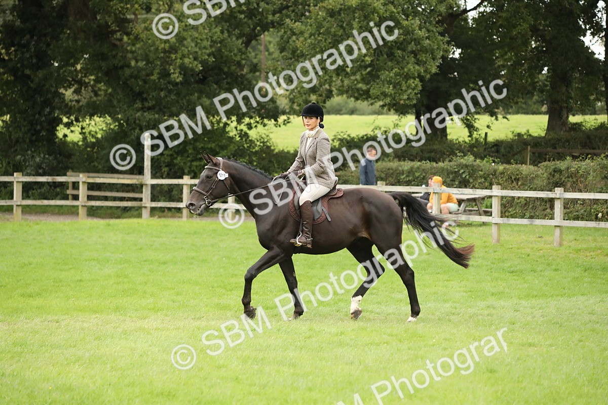 SBM_73809 - S41 - Ridden Equitation (Best Rider)