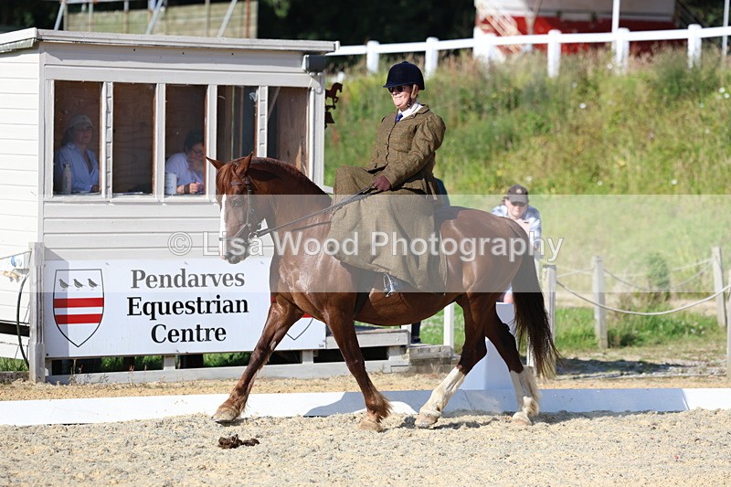 3E7A3461 - Class 2: Intro 1 2024 Section B