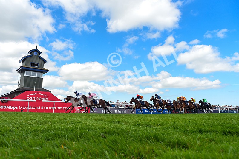 040526-Race 2-Moonlight Tango-1925 - Race 2