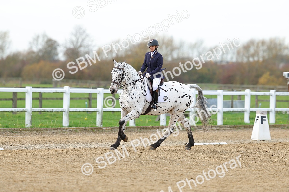 SBM_003866 - Class 9-8-11 - Elementary 1-Novice 4-Elementary 4