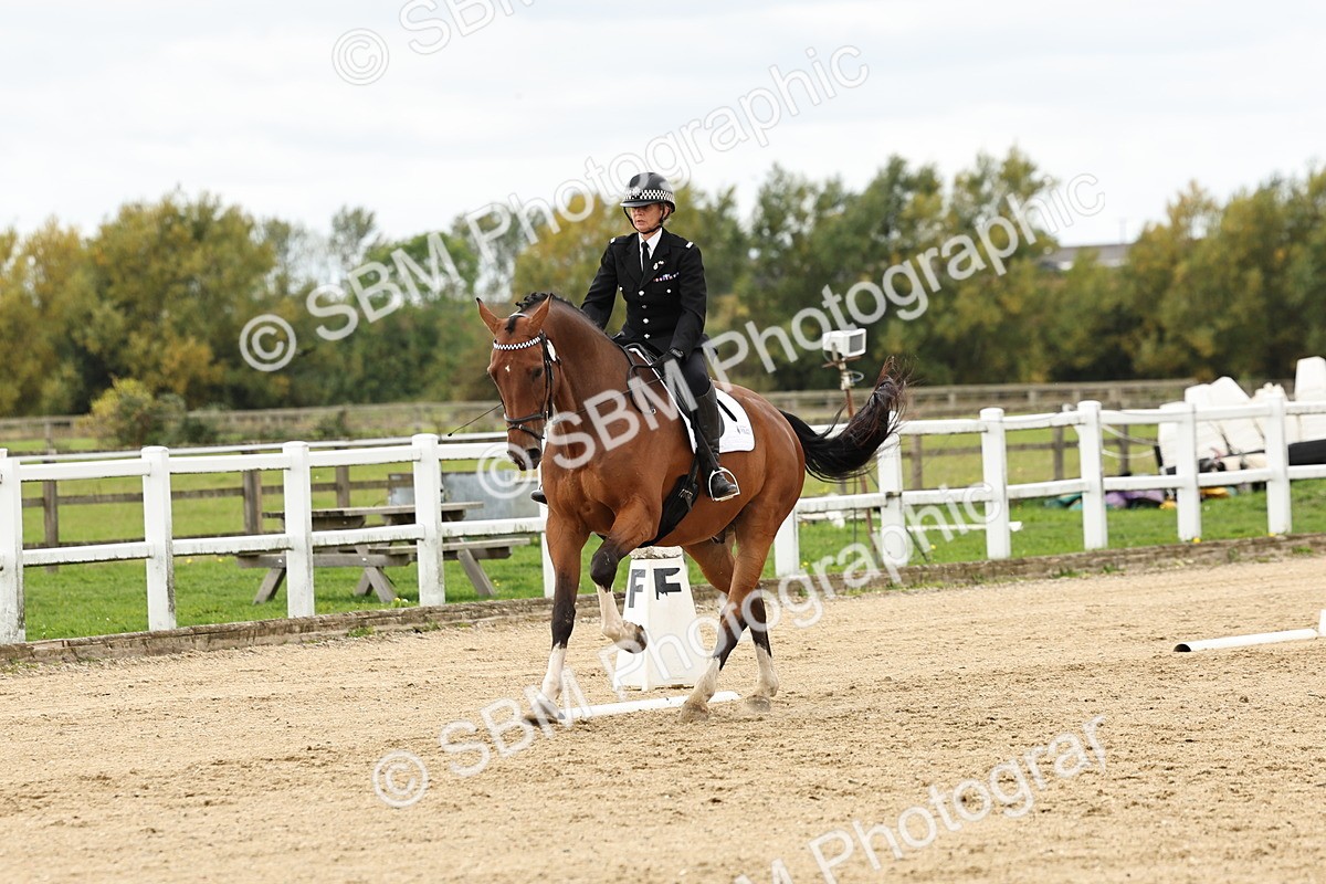 SBM_004521 - Class 69 - Novice 2