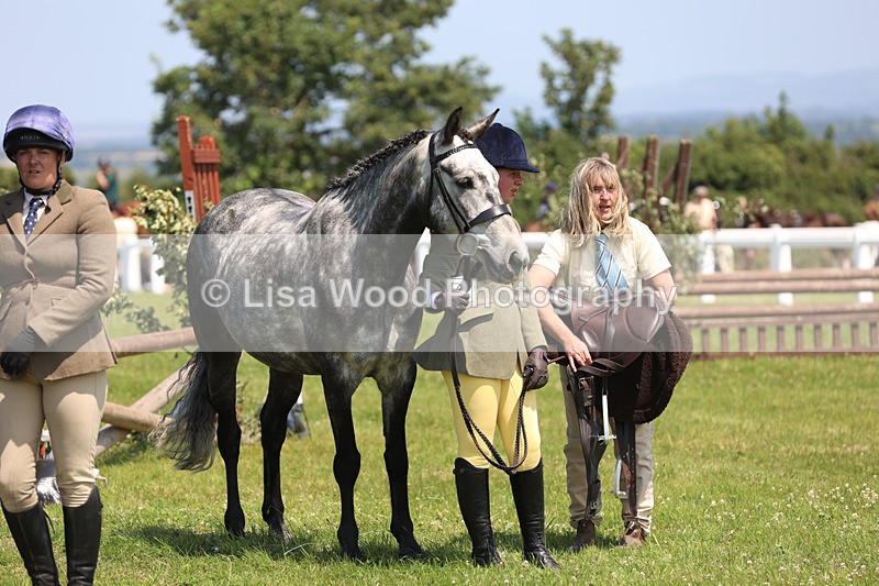 JPP_2846 - Class 21: Working Hunter 60cm